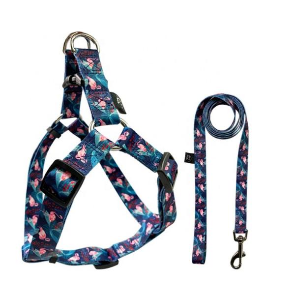 Quality Flamingo Style Collar Lead Harness Set Dog Harness Lead Set For Training Walking for sale