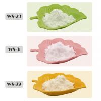 China Toothpaste Additive Food Grade Ws23 Cooling Powder Halal factory