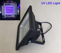 China LED Flood Light 5000lm Wavelength 390-405nm 2700-7000K 50W UV With Plug CE ROHS factory