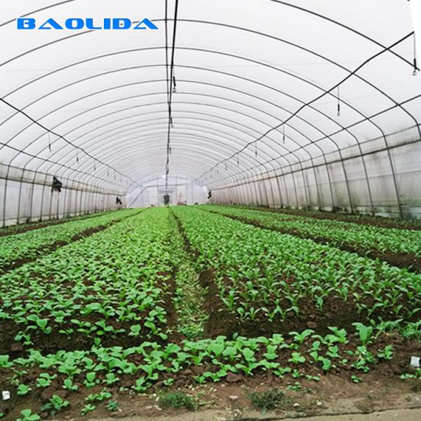 Quality Tunnel Plastic Film Greenhouse / Vegetable Greenhouse Climate Control Economical for sale