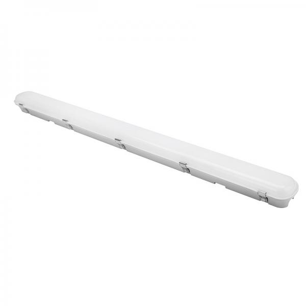 Quality 2FT 4FT 5FT IP65 Waterproof LED Light Tube 120LM 36W 50W Practical for sale