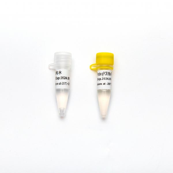 Quality Concentrated Premix Direct Multiplex Probe 2× QPCR PCR Reagent Mix Plus With UDG for sale