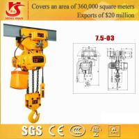 China High efficiency and good quality electric chain goods hoist factory