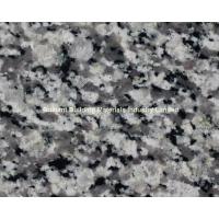 China Swan White Granite Tiles/Slab, Natural Gray White Granite factory