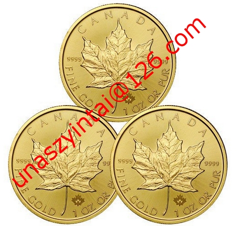China 24k replica coin Canada Gold Maple Leaf gold coin factory
