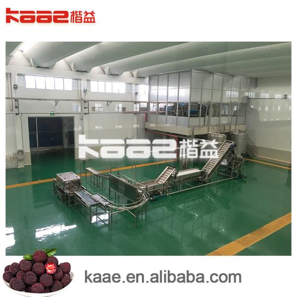 Quality Turnkey blueberry fruits juice processing line for sale