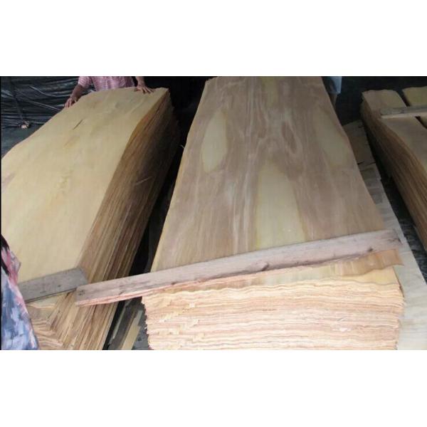 Quality Natural Rotary Cut Birch Veneer For MDF , Chipboard and Block Board for sale