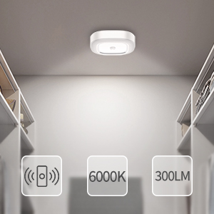 motion sensor light hallway