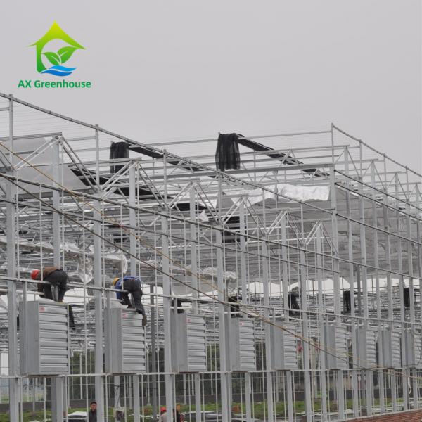Quality Hot DIP Galvanized Steel Structure PC Sheet Greenhouse For Orchids Plants for sale