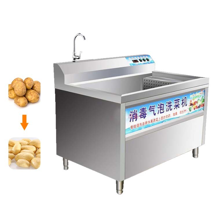 China Fresh Ginger Date Palm Washing Machine Italian factory