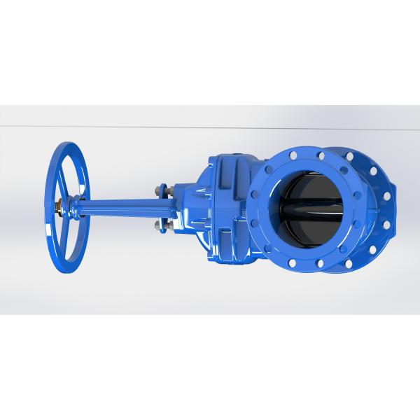 Quality Hand Wheel Or Top Cap Operated Water Gate Valve Red / Blue Epoxy Coated for sale