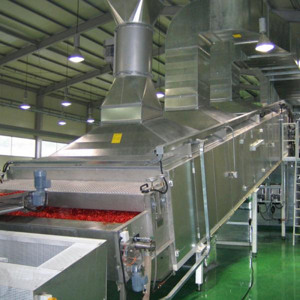 Quality HengShou Carrot Tomato Fruit Vegetable Processing Line 300 To 1000kg/ H for sale