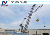 China For Many Project Luffing Type Tower Cranes with No Mast Sections 6ton 2420 factory