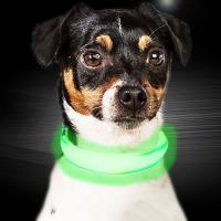 China C903 Hot Sale New Pet Product High Quality Usb Battery Custom Ties Motion LED  Light Dog Collar for Pets for sale