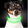 China C903 Hot Sale New Pet Product High Quality Usb Battery Custom Ties Motion LED  Light Dog Collar for Pets factory