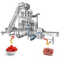 China Vegetable Fruit Multihead Weigher 2-2500g 1.6L Hopper 10 Head Multihead Weigher factory