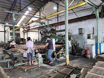 China Factory - Lonson Veneer Co.,Ltd