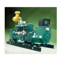 China 10KVA Biogas Motor Generator 500KW Methane Gas Generator Electricity factory
