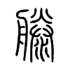 China LINYI JINQIAO INTERNATIONAL TRADE CO.,LTD logo