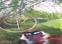 China Hand Woven Stainless Steel Cable Netting Wire Mesh Security For Zoo factory