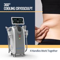 China Facial Lifting Cryolipolysis Body Slimming Machine Loss Weight Fat Freezing factory