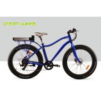 China Blue Electric Fat Tire Beach Cruiser Bikes Shimano 6 Speed Snow Road factory