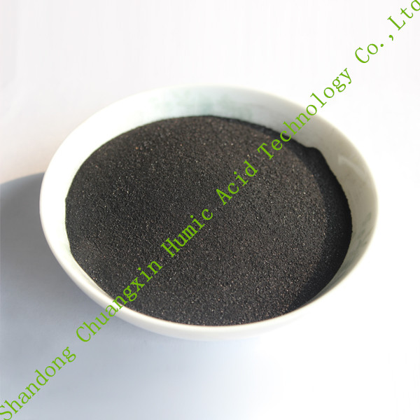 china Humic Acid Powder