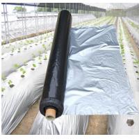China Width 20-2300mm Apple Tree Flective Agriculture Metalized CPP Film for sale