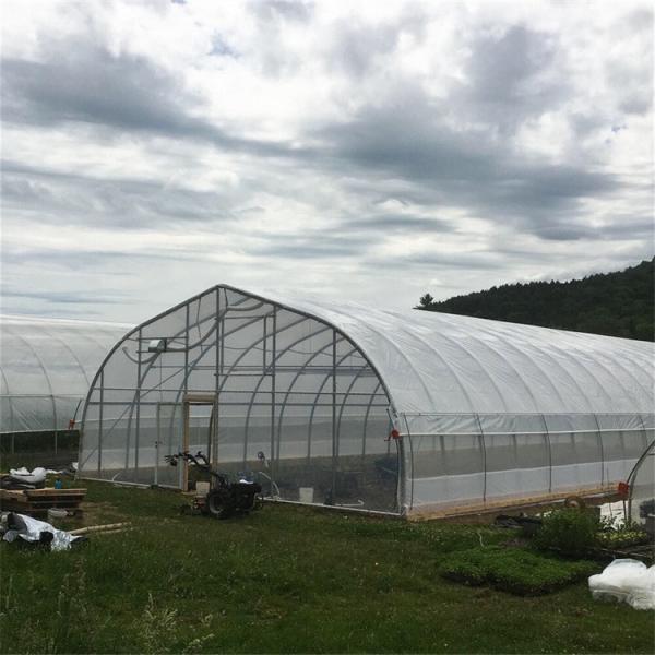 Quality Reasonable Cost Plastic Film Greenhouse 0.12mm-0.2mm Thickness for sale