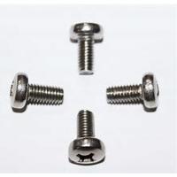 China A2 Stainless Steel License Plate Screw Torx Flat Head Security Fastener factory