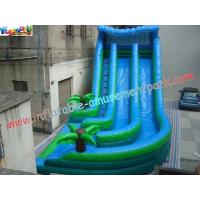 Quality 0.55mm PVC Commercial Coco Outdoor Inflatable Water Slides 10L x 5.5W x 6.5H for sale