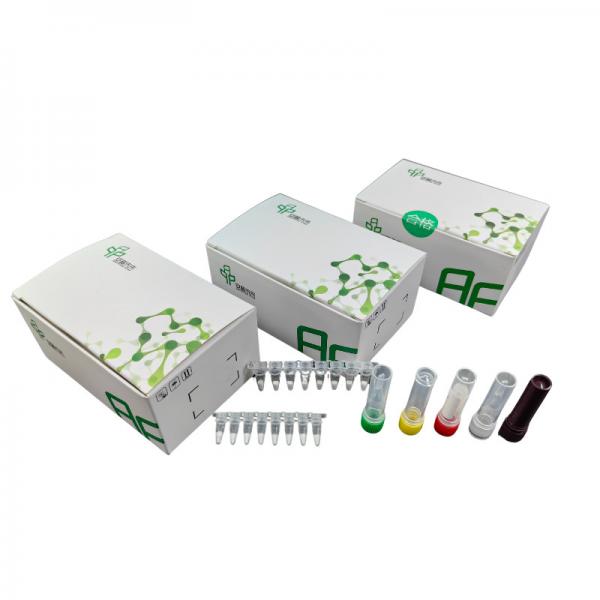 Quality ORF1ab Gene SARS-CoV-2 Detection Kit 48 Tests/Kit 5-20mins for sale