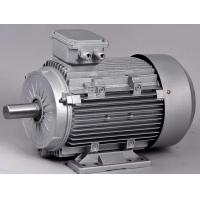 Quality Two Pole Induction Motor 2 Pole 220V High Low Rpm 3 Hp Ac for sale