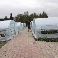 China 4 Mil Tunnel Plastic Greenhouse Cover Reinforced Clear Poly Sheeting factory