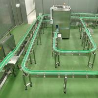 China Customized Chain Conveyors Systems Belt Transfer for sale