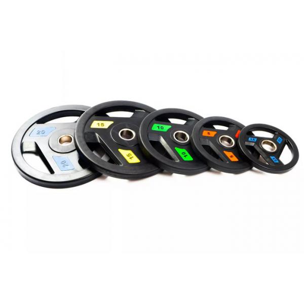 Quality 10kgs Fitness Weight Plates For Home Gym，Unisex Professional Barbell Weight for sale