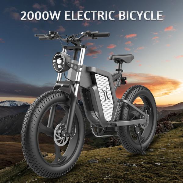 Quality Elegant 48V 20AH Fat Tire Electric Bike 2000w 1000w Aluminum Alloy Electric for sale