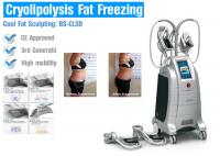 China Cryolipolysis Fat Freezing Body Slimming Machine No Surgery For Body Slimming factory