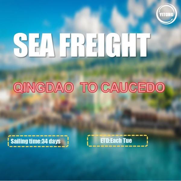 Quality 34 Days International Sea Freight Shipping From Qingdao To Caucedo Dominican for sale
