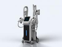 China 4 cryo handles can work together till 12 hours cryolipolysis slimming machine factory
