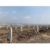 China Aluminum Rails Solar Panel Ground Mounting Systems With Cement Foundation factory