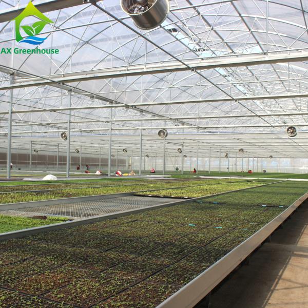 Quality UV Resistant Plastic Film Greenhouse for sale