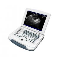 China PC Platform Veterinary Ultrasound Machine 12.1'' LCD Animal Ultrasound Scanner factory
