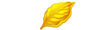 China Yiwu Gold Leaf Imp and Exp Co,. Limited logo