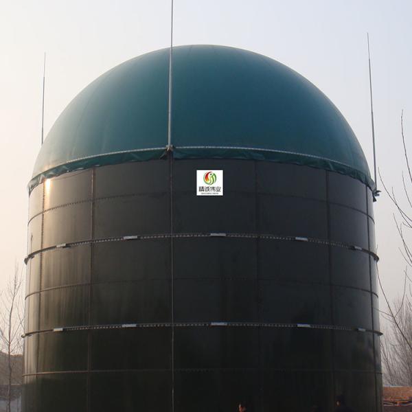 Quality Food Waste Bio Methane Digester AD Plant CSTR Bio Digester System for sale