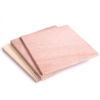 China Poplar Melamine Plywood Sheets Wood Based Panels For Construction 3100mm factory