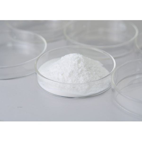 Powder / Liquid Food Grade Enzymes Catalase Hydrolyze Hydrogen Peroxide