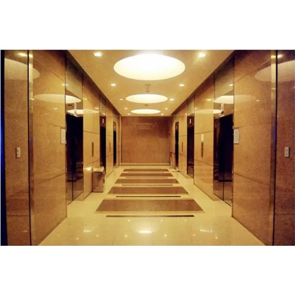 Quality FuJi 6.0m/s High Speed Passenger Elevator 8 Persons Passenger Lifts For Flats for sale