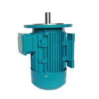 Quality IE2 Electric Motor Water Pump 3KW B14 220V 380V MS100L2-4 CE Certification for sale