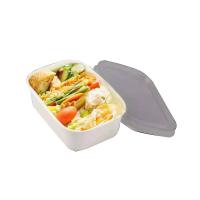 Quality Square SGS Paper Take Away Box Biodegradable Disposable for sale